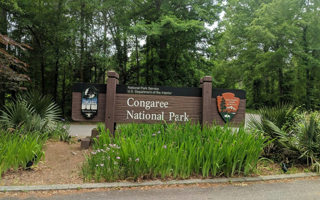 Be a Greener Guest: Eco-Friendly Travel Tips for Columbia, SC