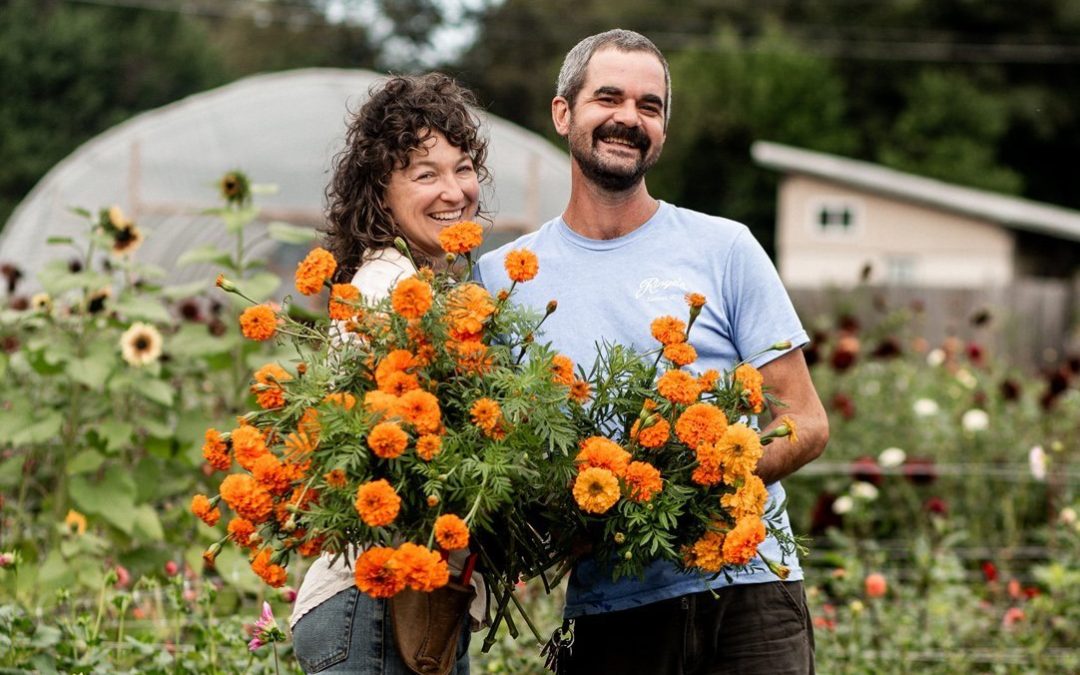 Boone Fox Farm: A Floral Oasis in the Heart of Columbia