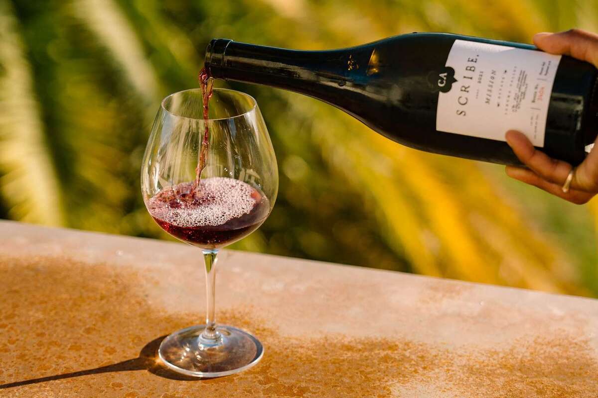Experience the Best of Fall Wines at Columbia's Mission Grape Tasting