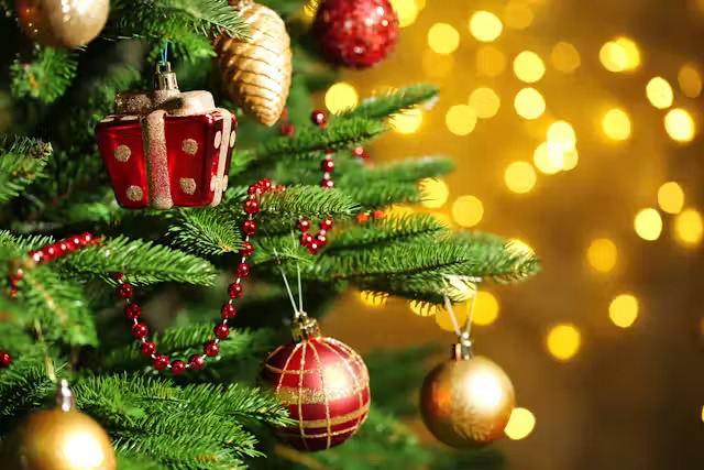 A Festive Guide to Christmas Celebrations in Columbia, South Carolina