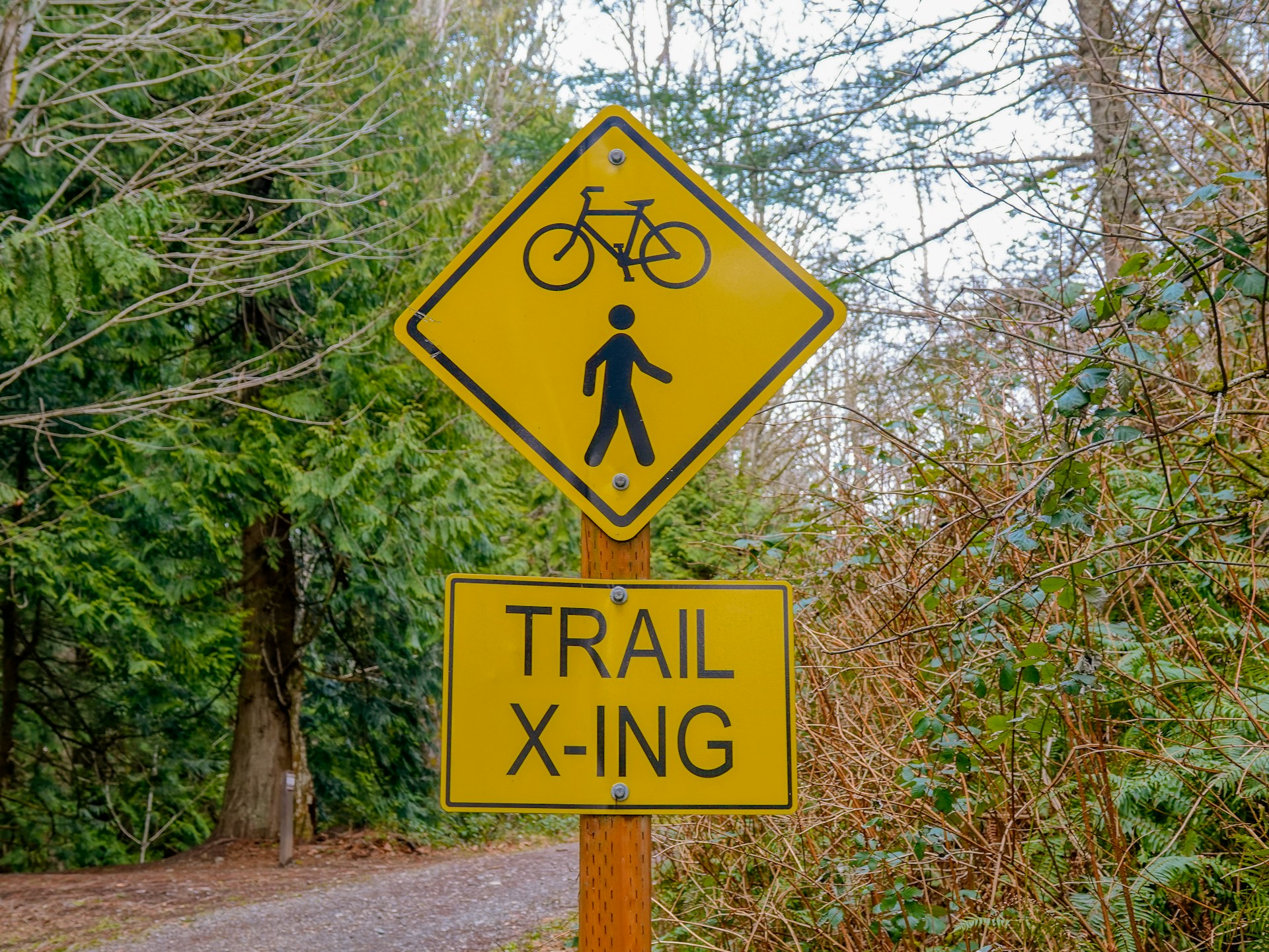 Everything You Need to Know About Trail Safety and Preparation in Columbia South Carolina